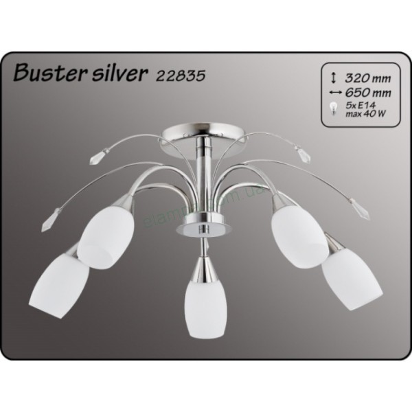 Люстра Alfa Baster Silver 22835